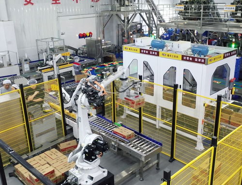 鹽津鋪子董事長張學武 以匠心與遠見，鑄就中國卓越食品制造企業